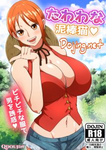 Read more about the article Nami fluffy thief cat one piece