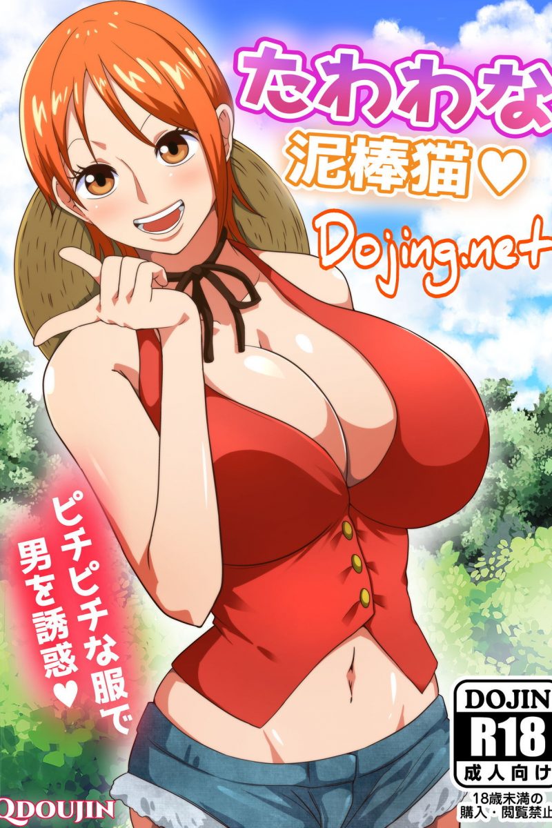 Nami fluffy thief cat one piece